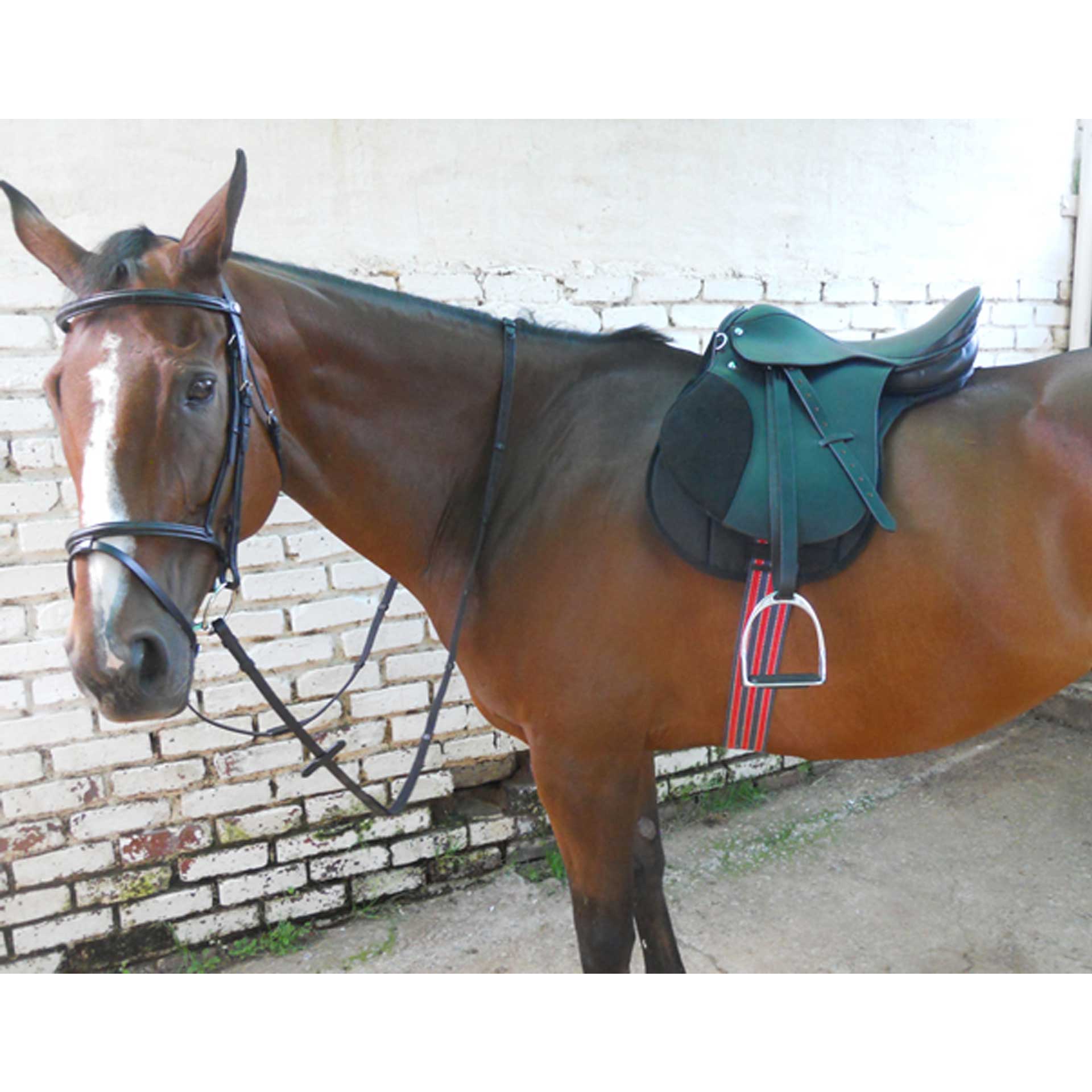 Saddle Starter Kit Solo